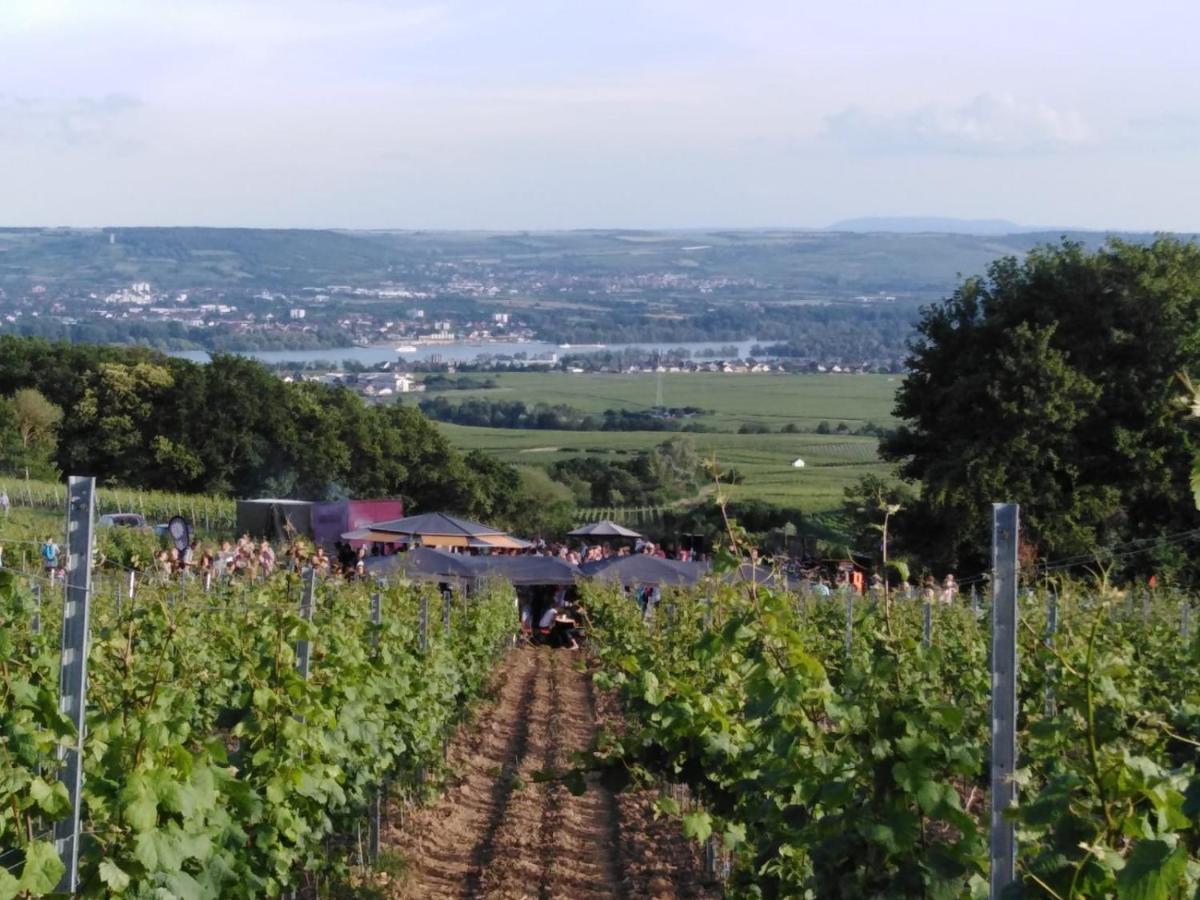 Rheingau Und Weltkulturerbe Mittelrheintal Erleben - Ferienappartement In Winkel Oestrich-Winkel Zewnętrze zdjęcie