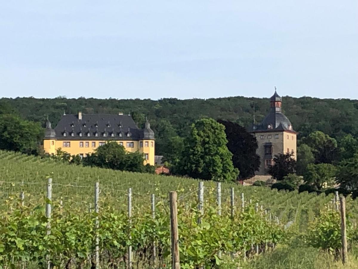 Rheingau Und Weltkulturerbe Mittelrheintal Erleben - Ferienappartement In Winkel Oestrich-Winkel Zewnętrze zdjęcie